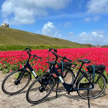 Holiday home Albatros 126 Julianadorp