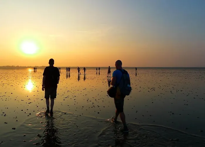 Albatros 126 De Zandloper