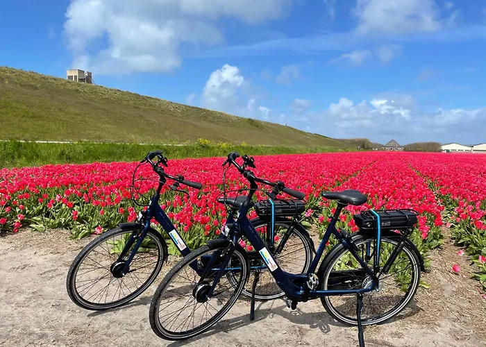 Semesterbostad Albatros 126 De Zandloper