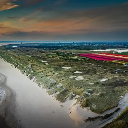 Prázdninový dům Albatros 126 *