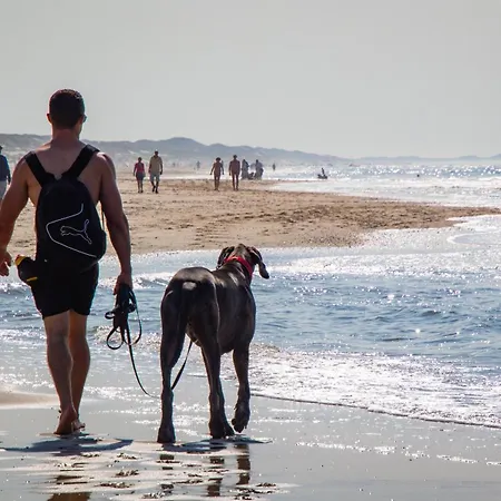 Albatros 126 Prázdninový dům Julianadorp